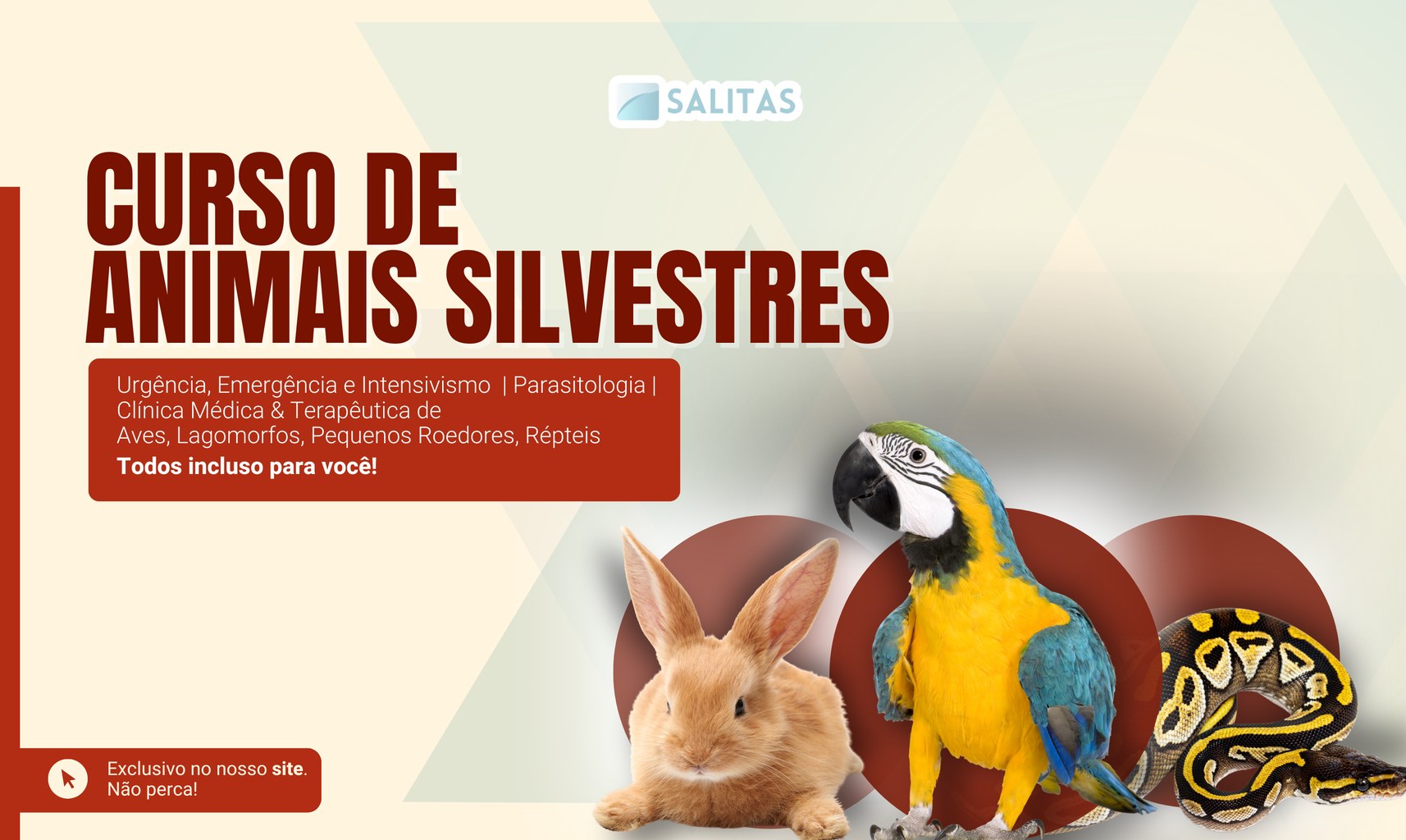 capa do combo de silvestres e exoticos