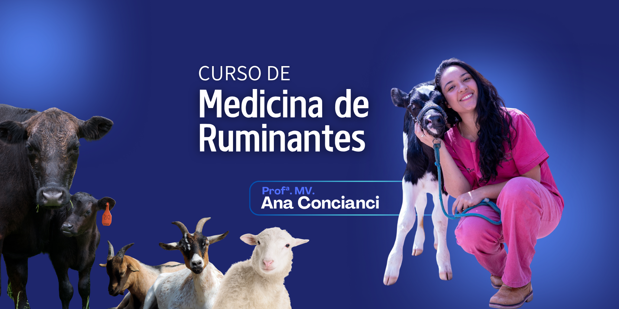 Capa do curso de Medicina de Ruminantes com a Prof. Ana Concianci