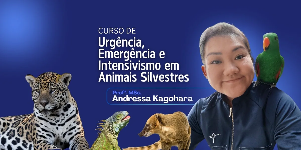 Curso de Urgência, Emergência e Intensivismo em Animais Silvestres